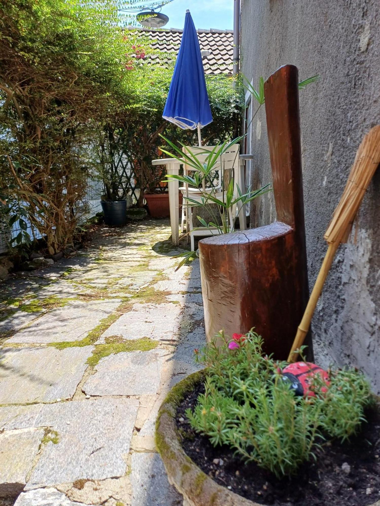 Val Grande Apartment Miazzina Esterno foto